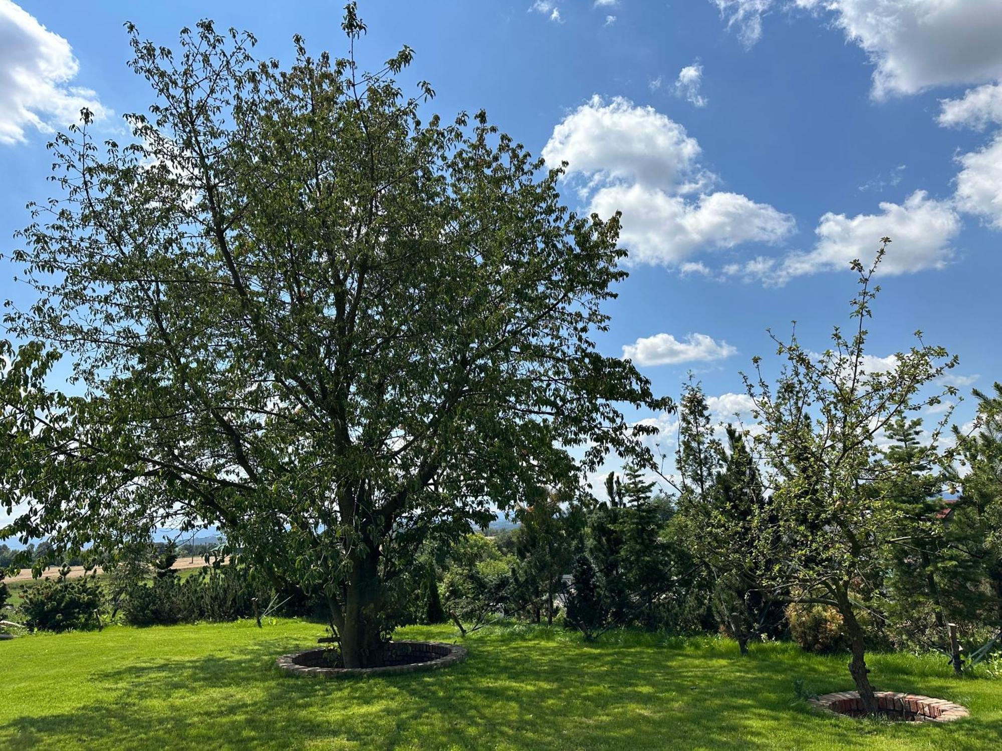 Domki Osada Bozkow W Kotlinie Klodzkiej Exterior foto